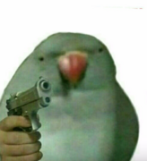 Marajuana