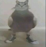 Unboludo