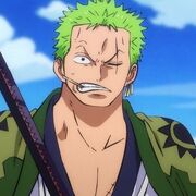 Zoro_timeskip