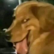 Pollo????