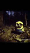 maro_1430