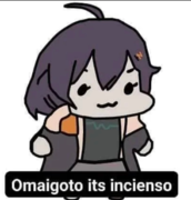 LilysAcc