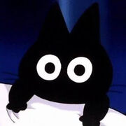 Mr. PoPo