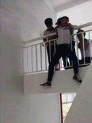 im not Stupid