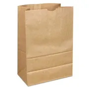 BagMan101