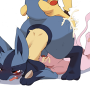 lucariofluffydragon