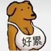 xsf20031117