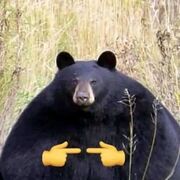 Luga789