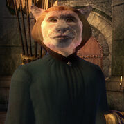 skyrimgamer17