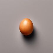 Egg1954