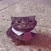 Monglixe