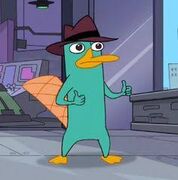Perry the Platypus