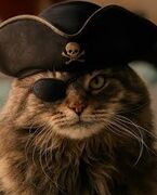 PirateBayCaptain