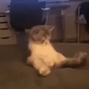 Karonos
