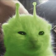 MrGlorp1