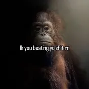 Hal2bigman