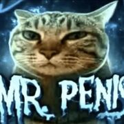 Mr.penis_