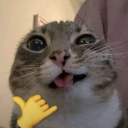 Forik666