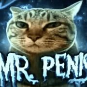 Mr.penis_.