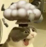 ChromeKitty