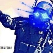 Task_force2