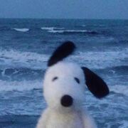 Camarada Snoopy