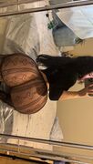 Cassandra_02