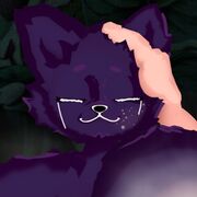SnFantasy