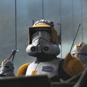 Commander Cody