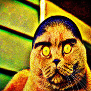 ShockChan