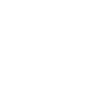 C&G-STUDIO