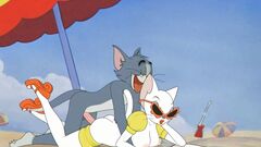 Tom And Jerry Inflation Porn - Tom and Jerry Category