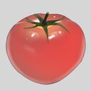 Tomato_Rikoping