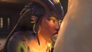 Dragon Symmetra Blowjob - NoduSFM