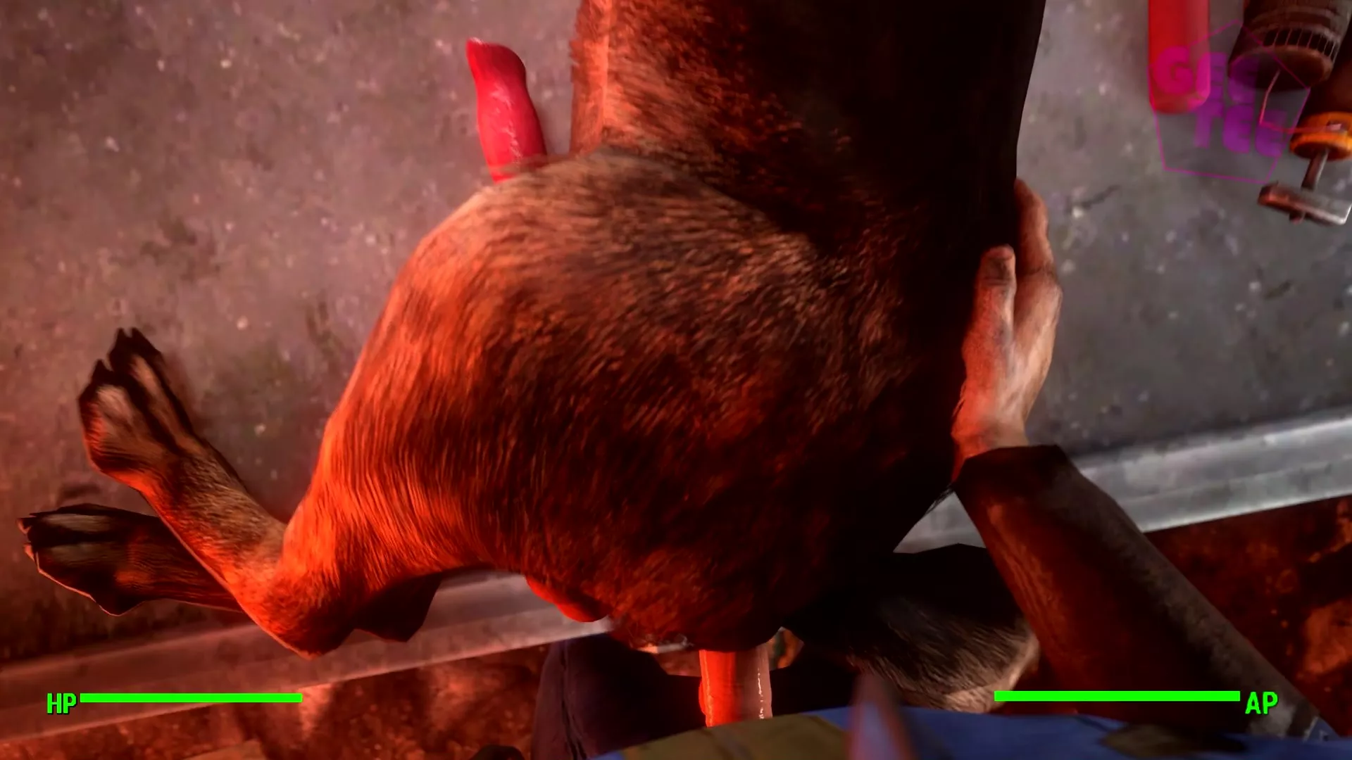 3d Gay Dog Porn - Dogmeat Fuck - GeeTee