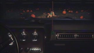 Pumpkin field - Wildeerstudio