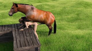 Horse video 70