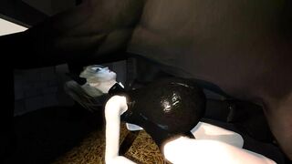 Horse video 84 - Harley fuck boobs