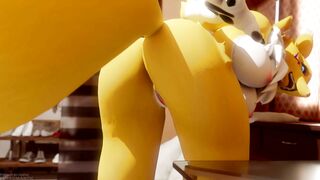 Renamon Riding - Furromantic