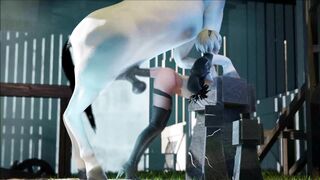 Horse video 113 - 2B