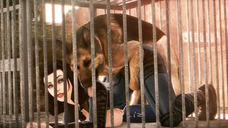 Elizabeth28 - Noname55