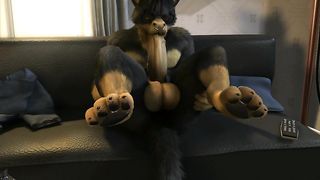 Xander Animation - H0rs3