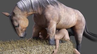 Horse Video - 172