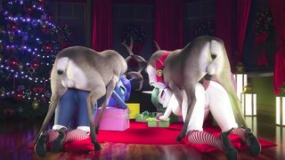 Skilled Pets - Eqamrd