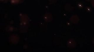 Kunoichi 2 - Beastly Bacchanalia (Bonus Scene) 60fps