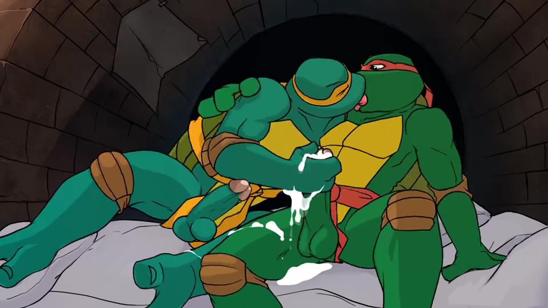 Teenage mutant ninja turtles rule 34