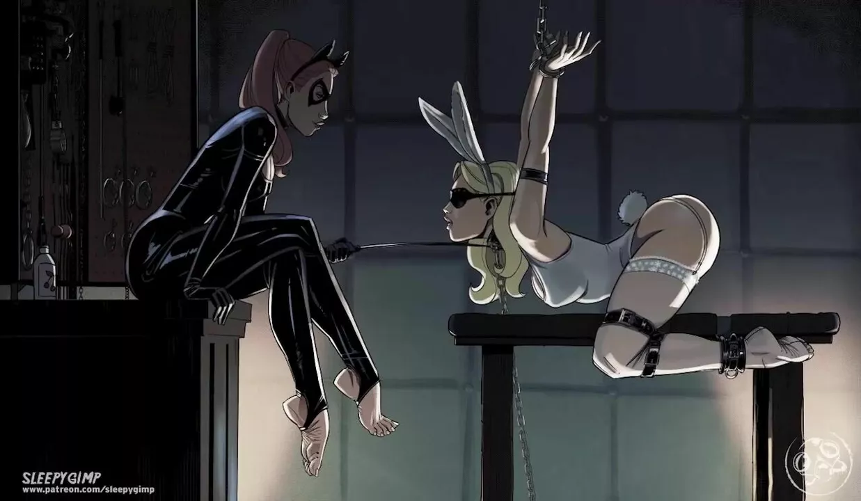 Lesbian Bondage Torture 3d Art - Catwoman Secret Room [sleepygimp]