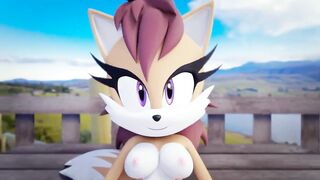 Sonic POV [ganondork]