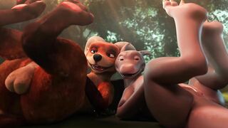 Angus and Cookie - Crittermatic