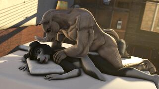 Finn Getting Boned - BillyNR